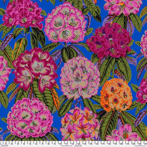 Rhododendrons Magenta Kaffe