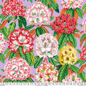 Rhododendrons Lavender Kaffe