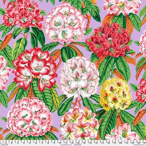 Rhododendrons Lavender Kaffe