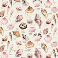 Seashell Wishes - Digital Shells