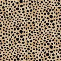 Skin Deep Cheetah Skin