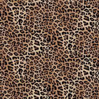 Skin Deep Leopard Skin