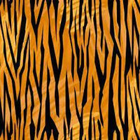 Tiger Tails-Tiger Skin