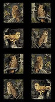 Small Owls PANEL - Majestic Woods